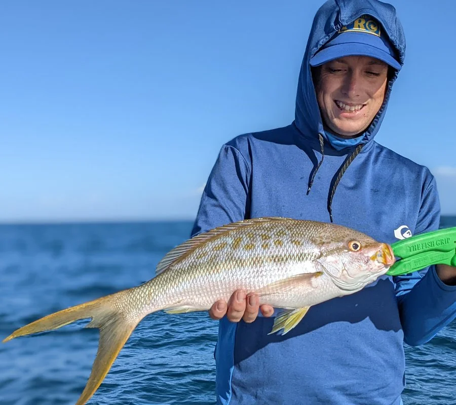 Puerto Rico Yellowtail Snapper Fishing Charters