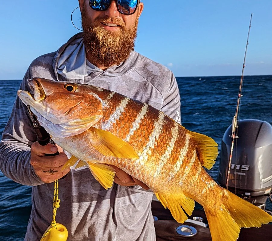 Puerto Rico Schoolmaster Snapper Fishing Charters