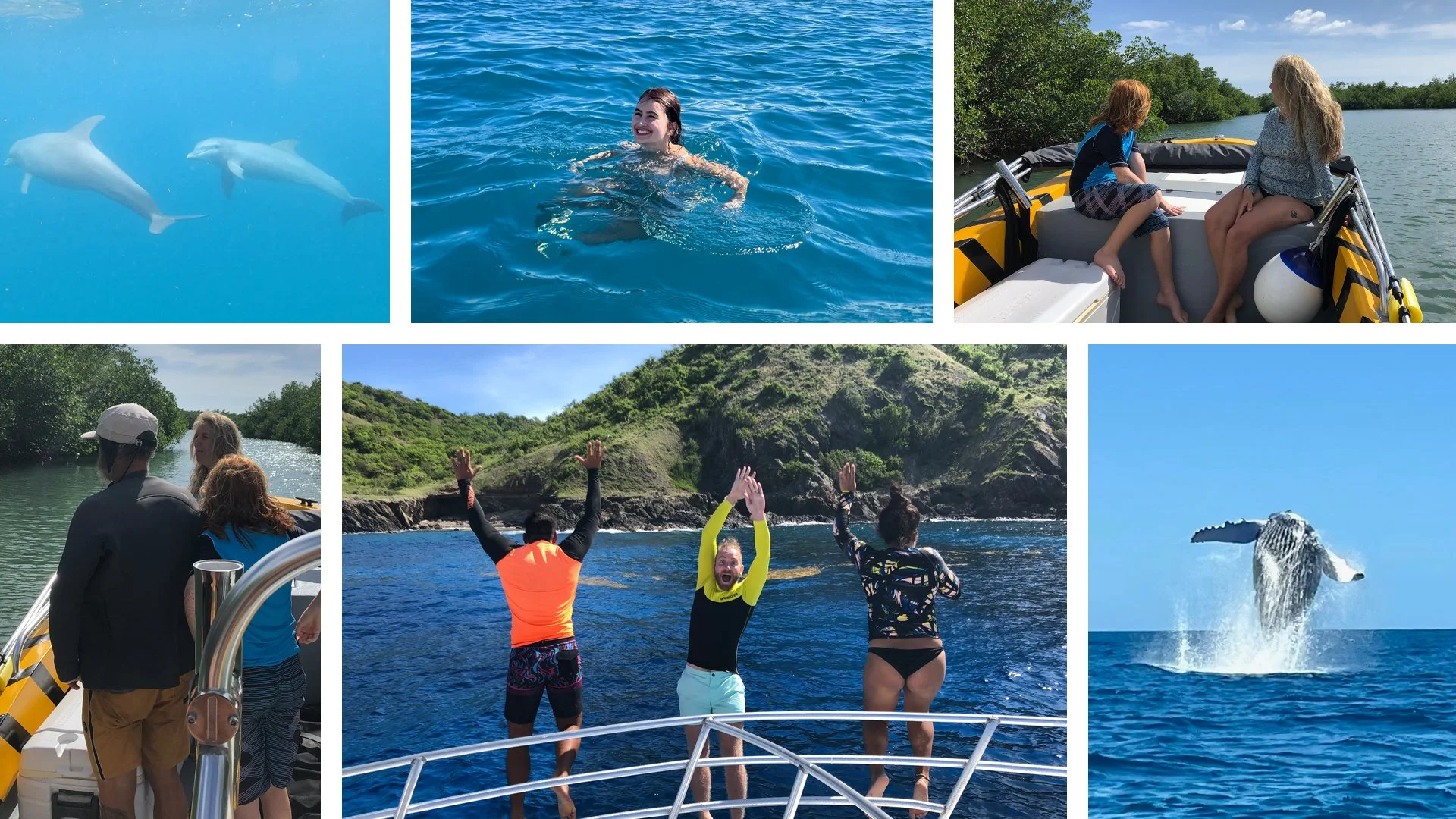 Eco-Tour charters near Cabo Rojo, Aguadilla, and Rincon, Puerto Rico.