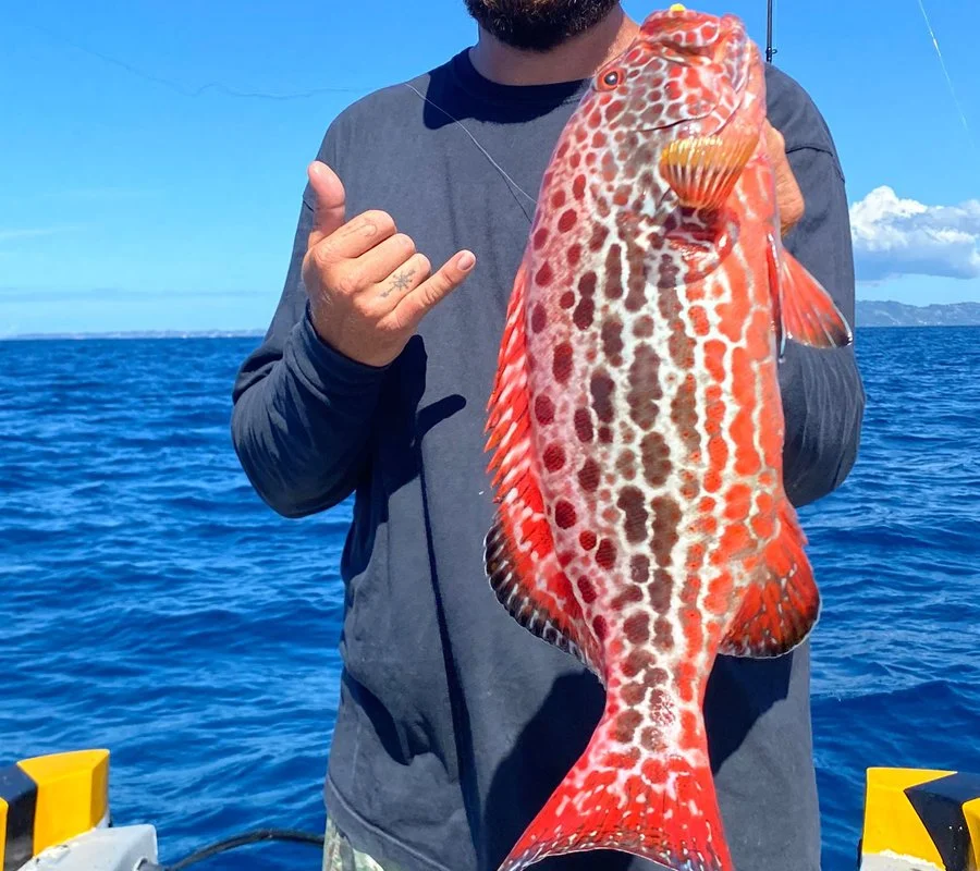 Puerto Rico Yellowfin Grouper Fishing Charters