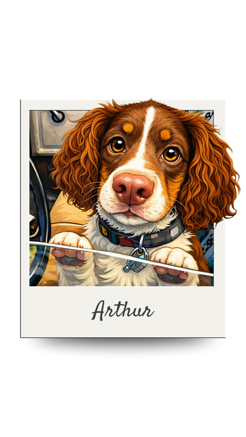 Un chien de race cavalier king charles, nommé Arthur, avec un collier, appuyé sur une fenêtre ou un bar.