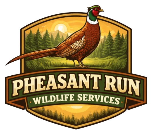 Pheasant Run Wildlife Services