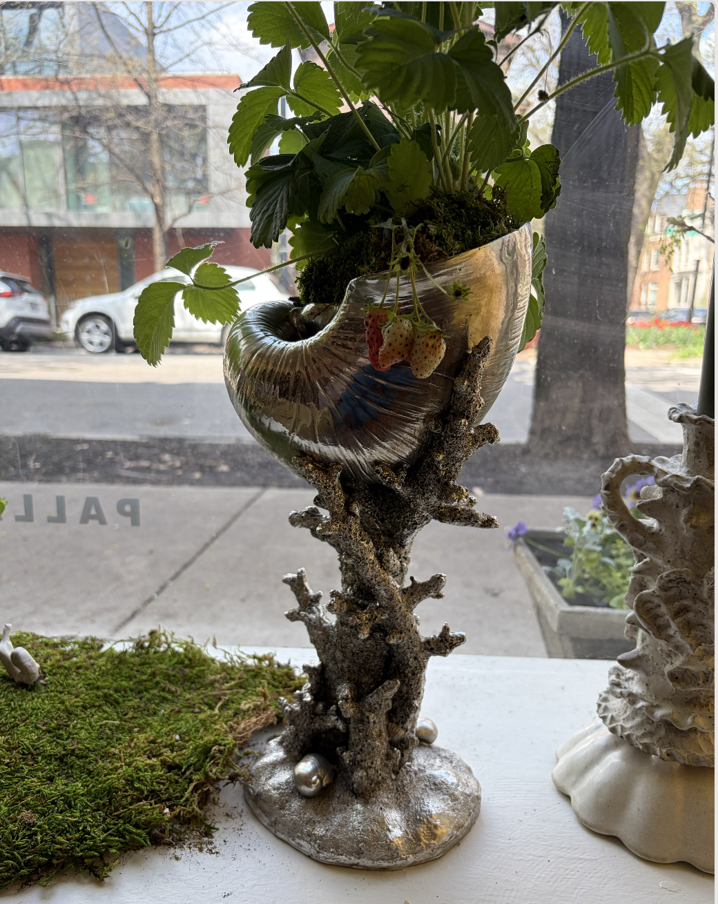 Screenshot 2026-04-17 at 2.41.32 PM.png