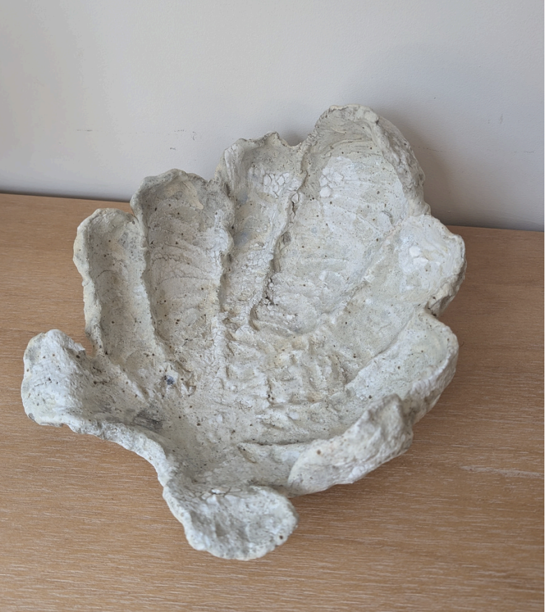 Shell plate- Talia Nadim Warshawsky