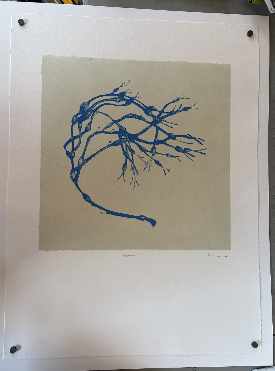 Spray- Rachel Burgess (Copy)