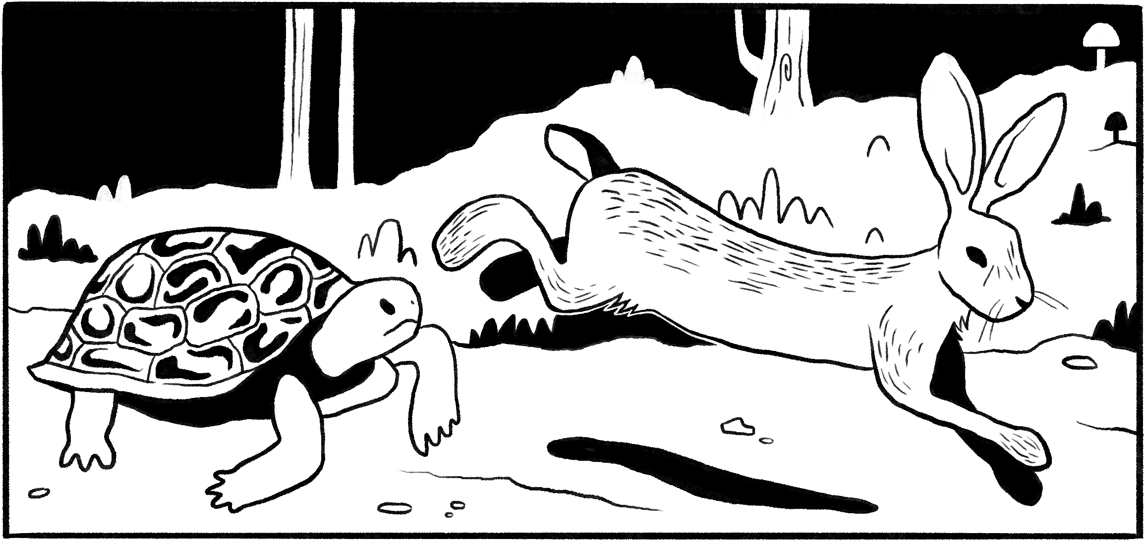 Tortoise and the Hare website crops 2.png