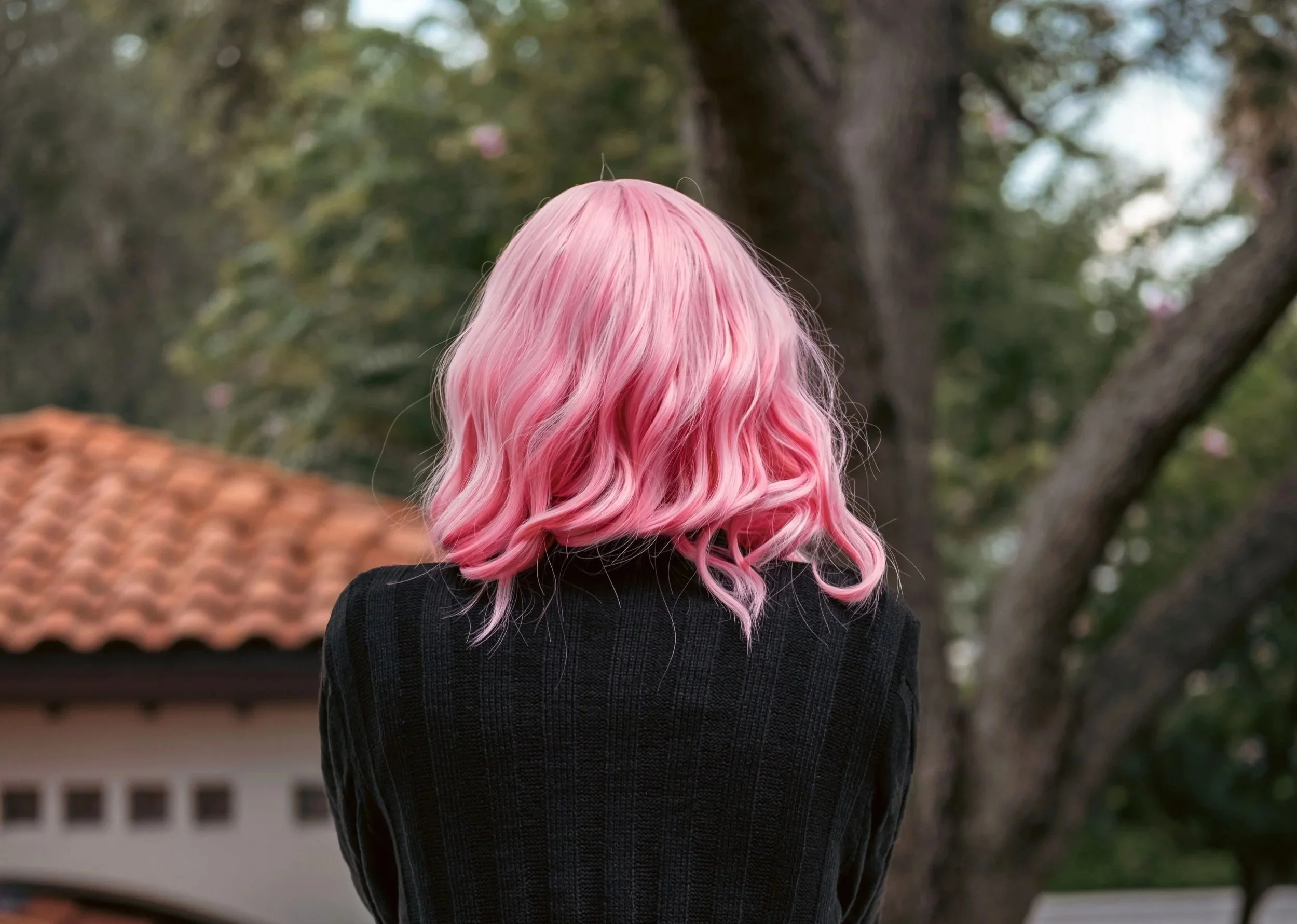 The back of a woman's head showing her cool, unique pink hair colour.