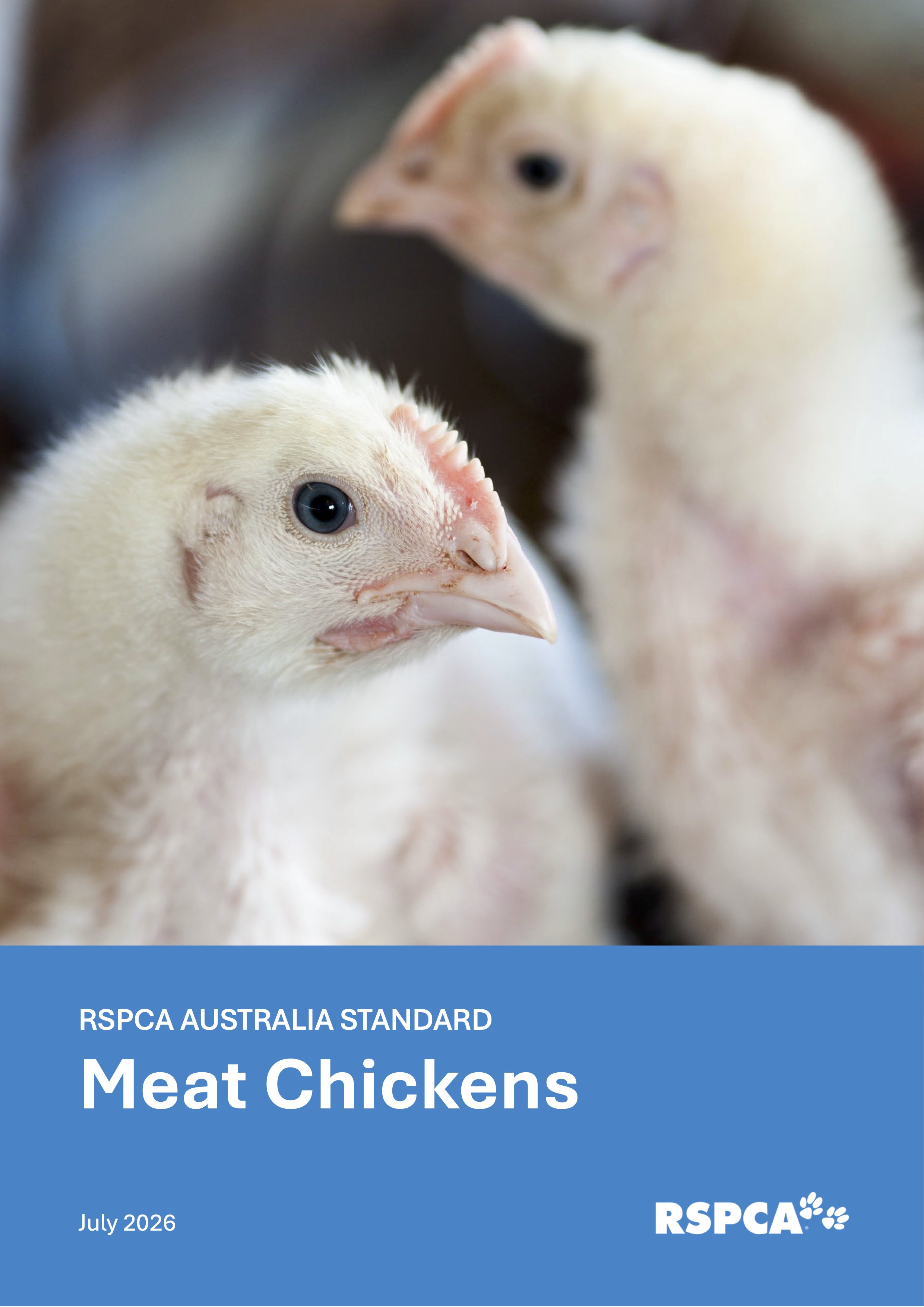Cover image of the 2026 RSPCA Australia Meat Chicken Standard