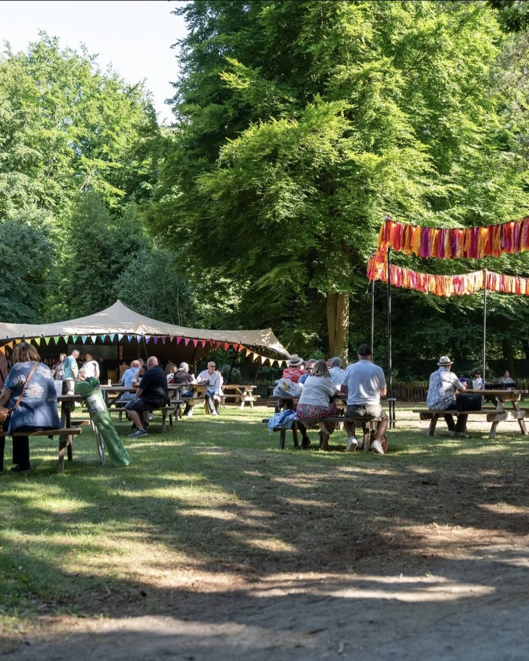 Forest Live