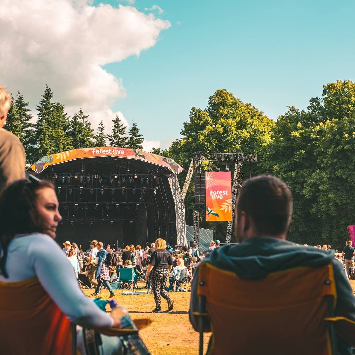 forest live.jpg