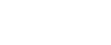 Santa's Secret Forest
