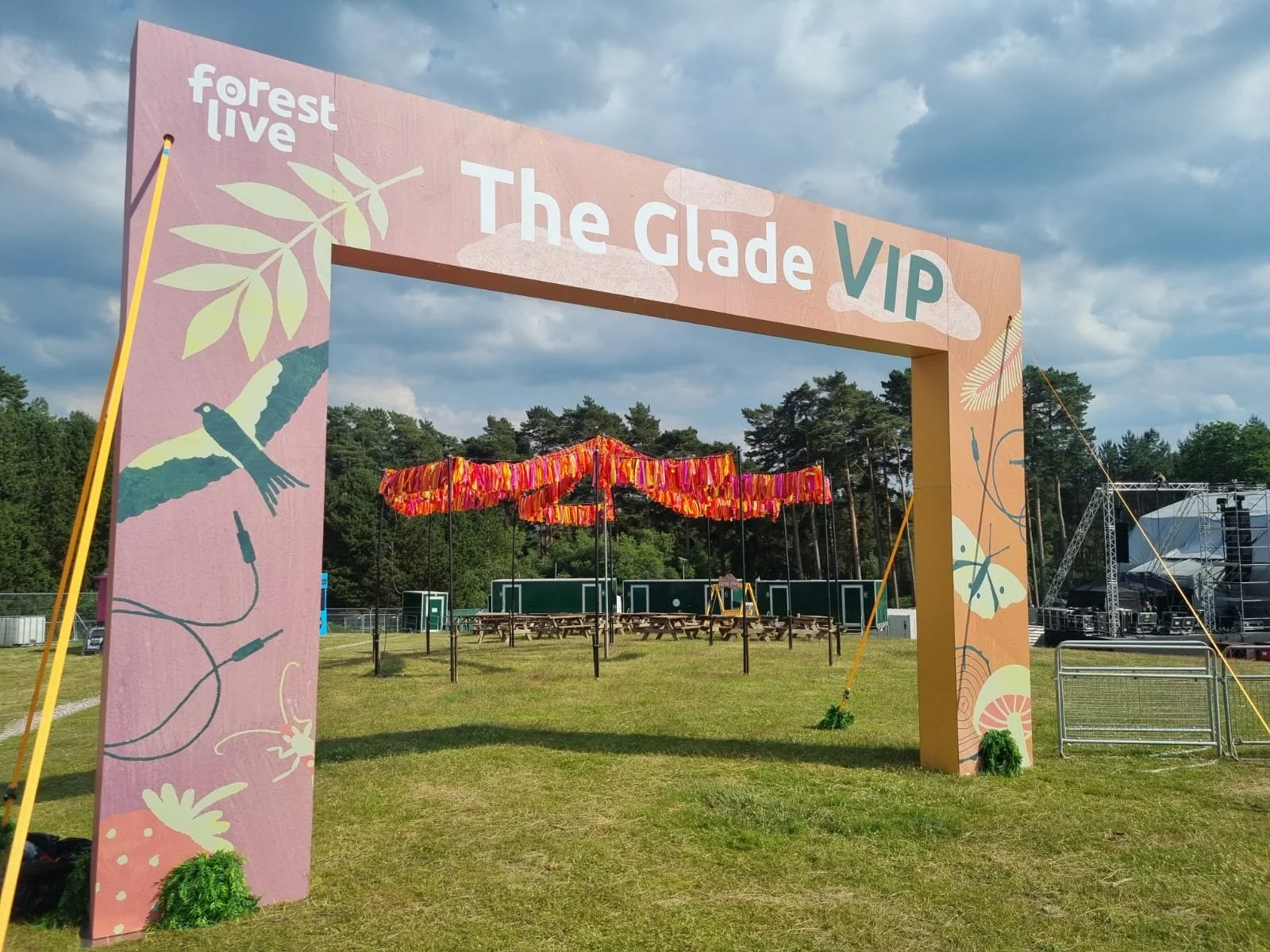 forestlive4.jpg