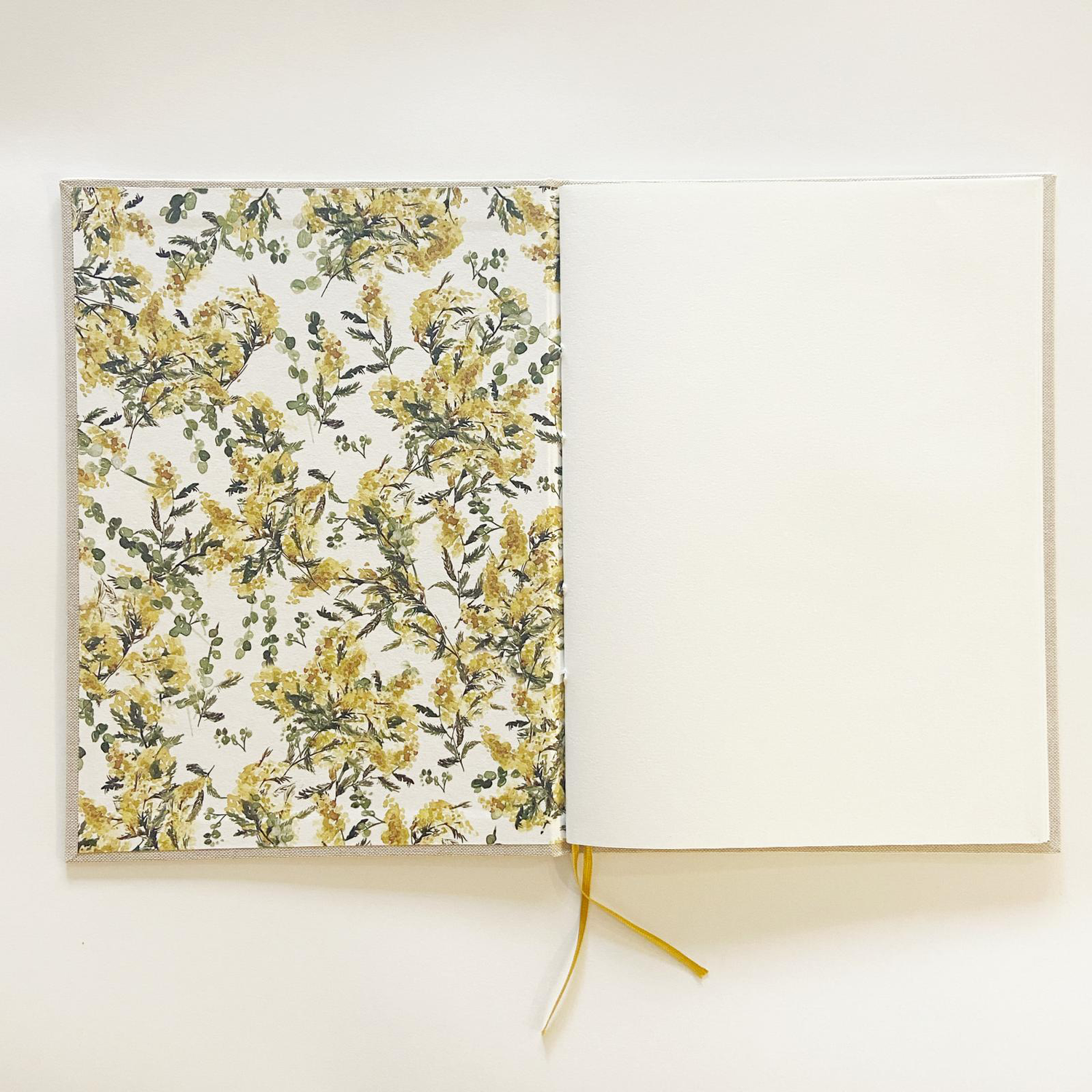 carpeta+mimosas.webp (copia)