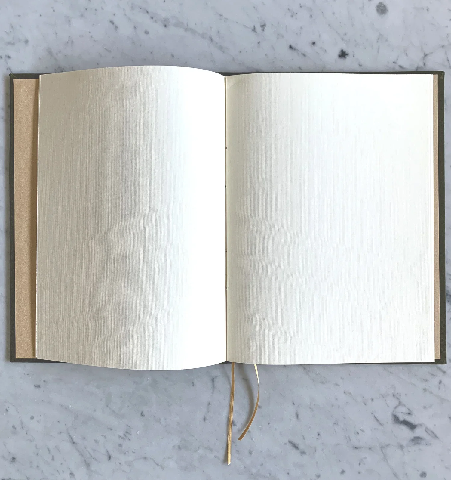 Carpeta+abierta.webp