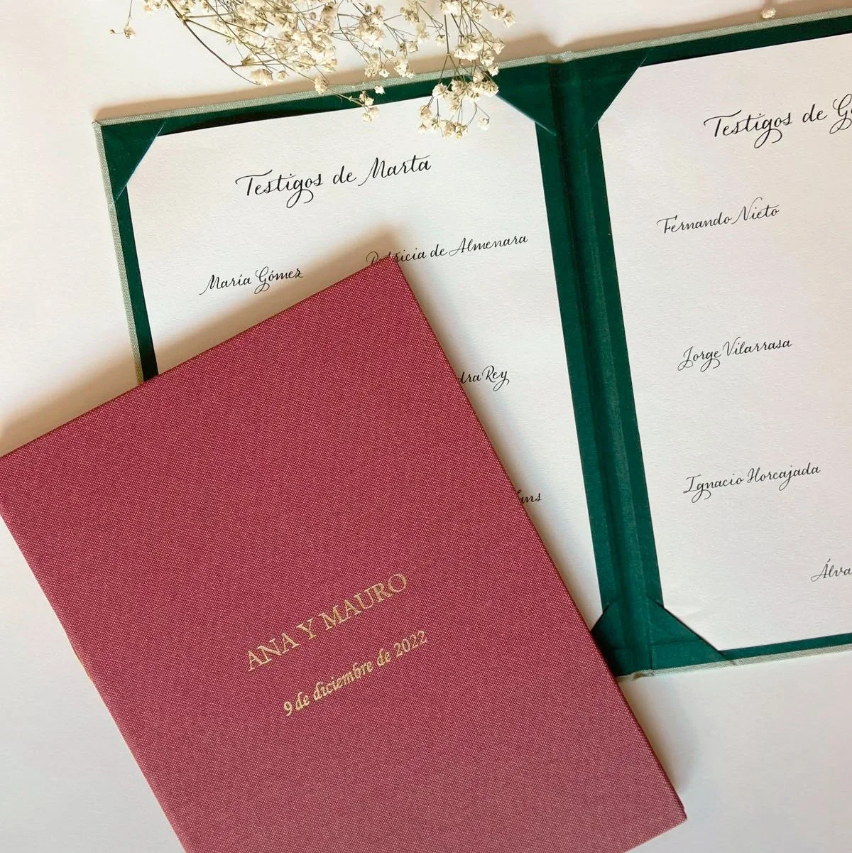 Carpeta de firmas
