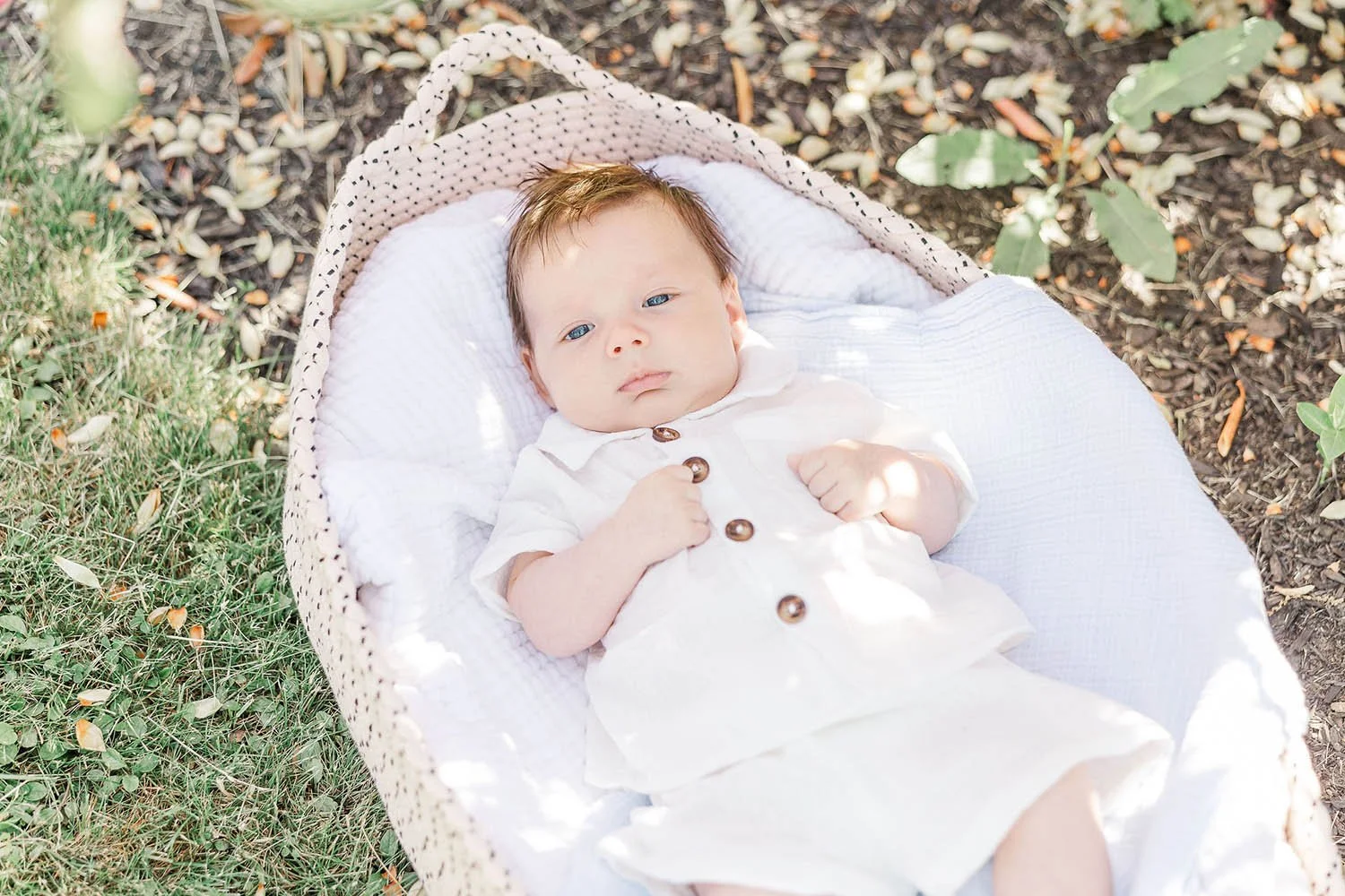 Newborn-Baby-Photoshoot-Amanda-Sheridan.jpg