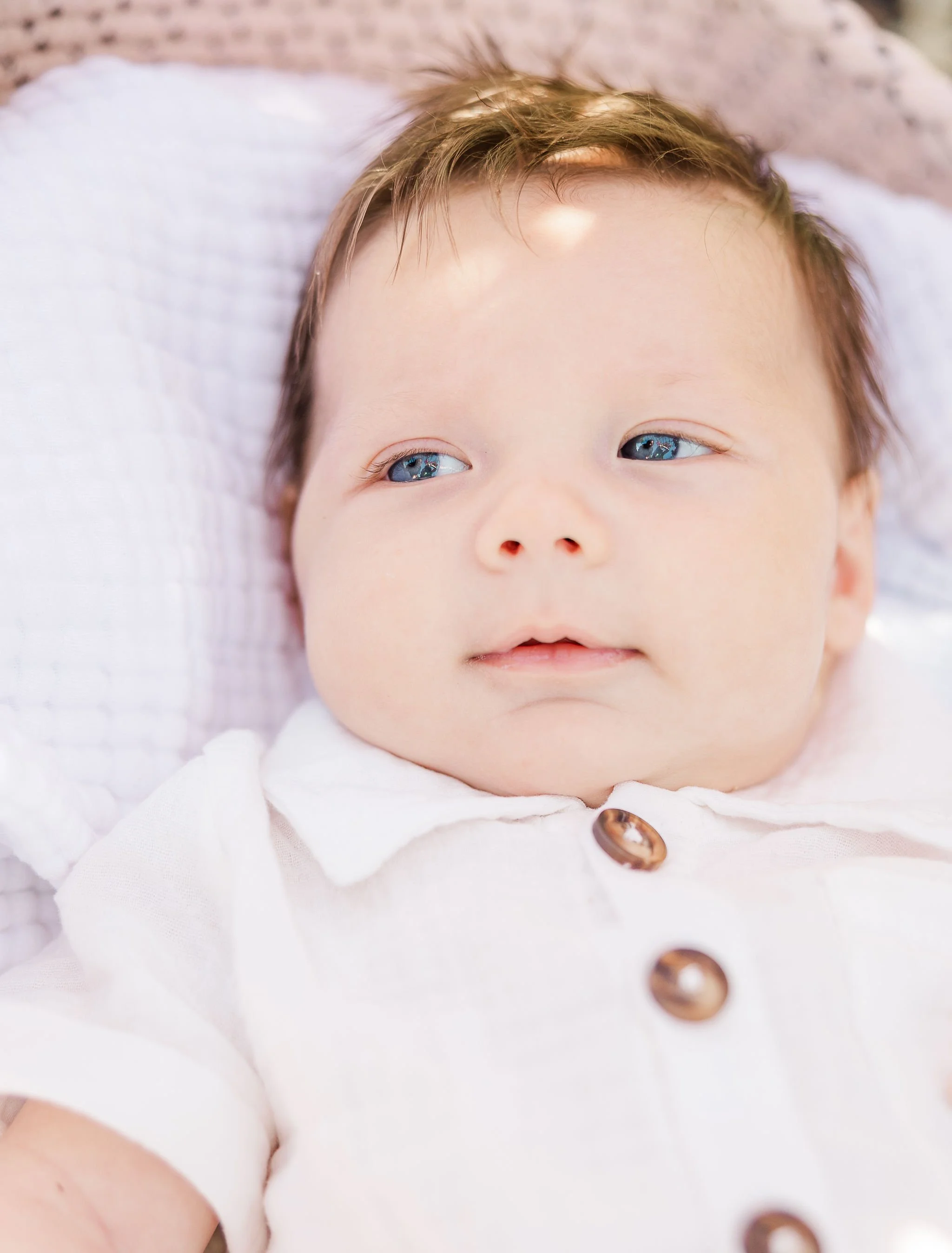 Newborn-Photography-Central-Florida-Amanda-Sheridan.jpg