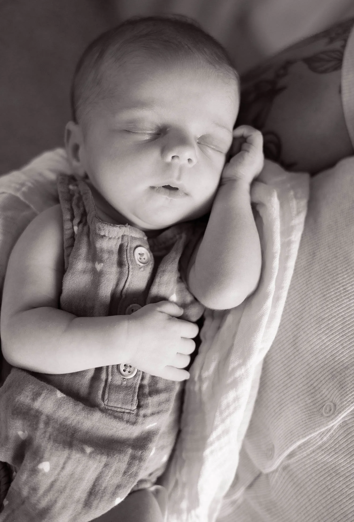 Sleeping-Newborn-Photography-Florida-Amanda-Sheridan.jpg