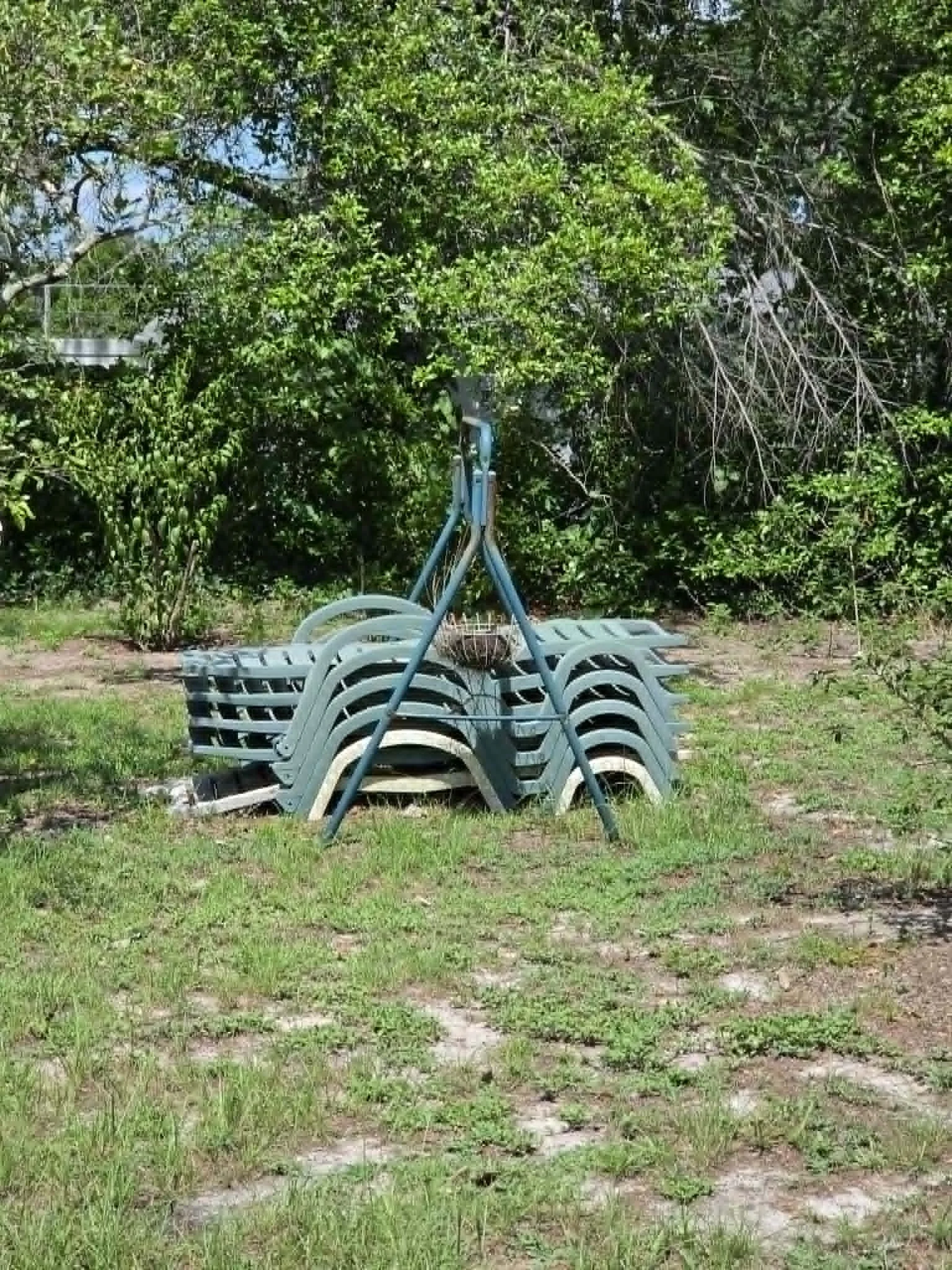 49.jpg
