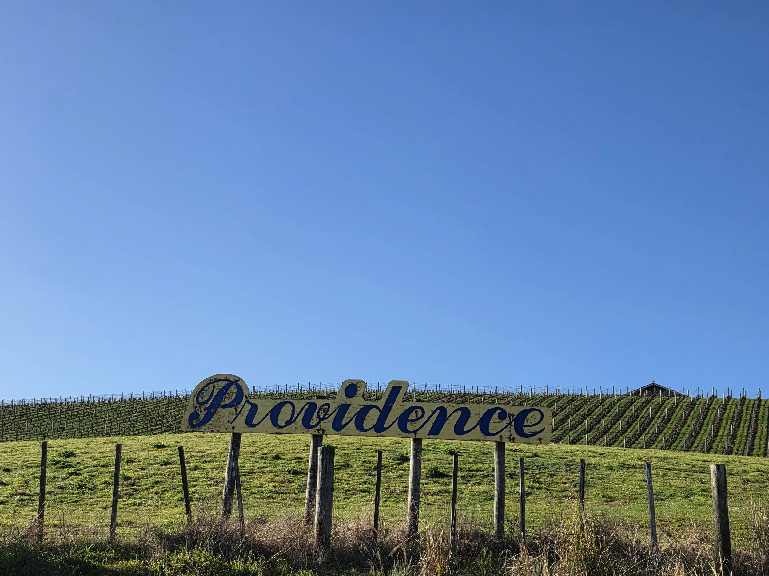 Providence, or a plan? 