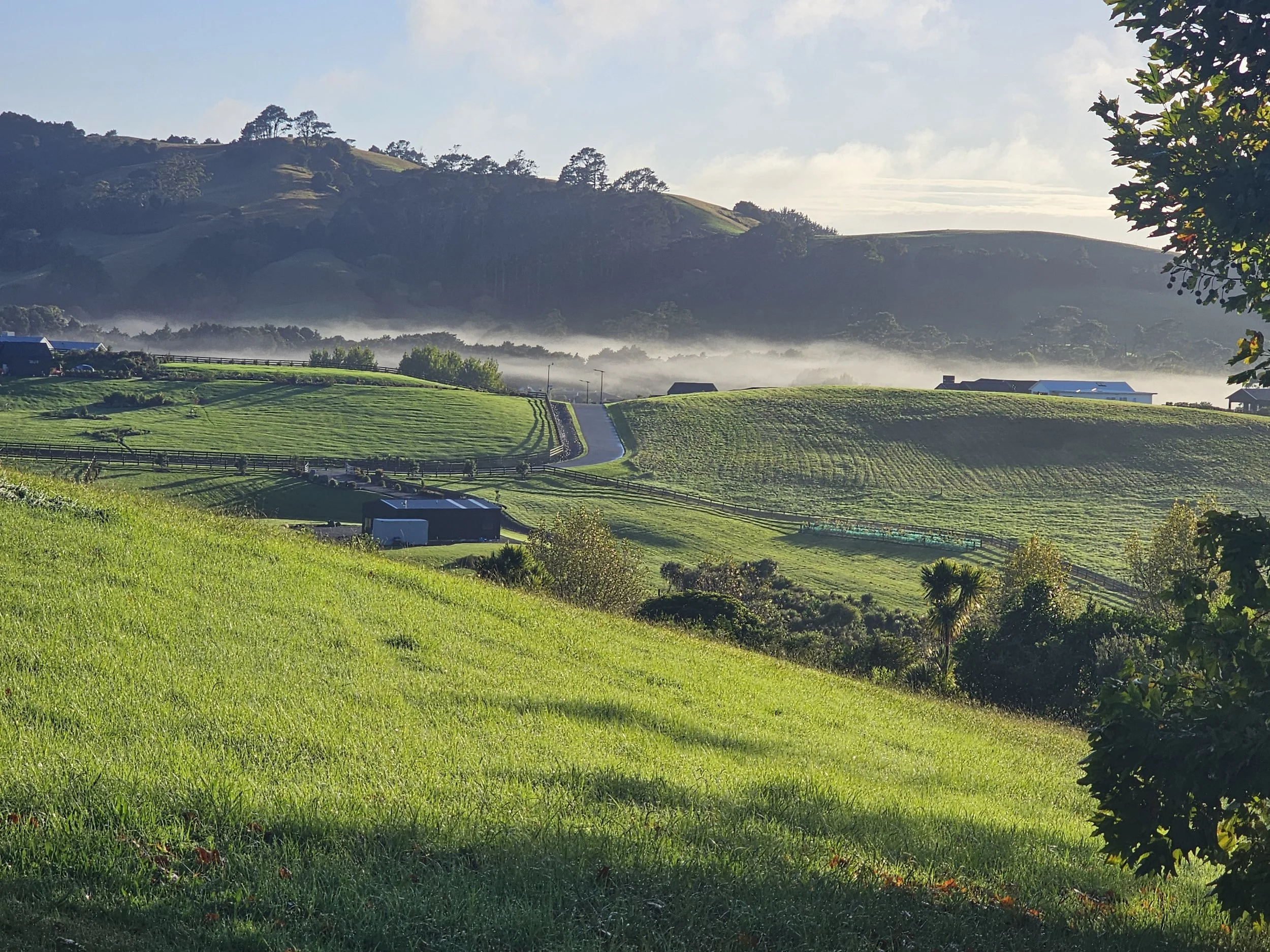 Rolling green hills with farm buildings, trees, and a distant mountain range in Matakana, Auckland, New Zealand, under a partly cloudy sky, with morning mist in the background.