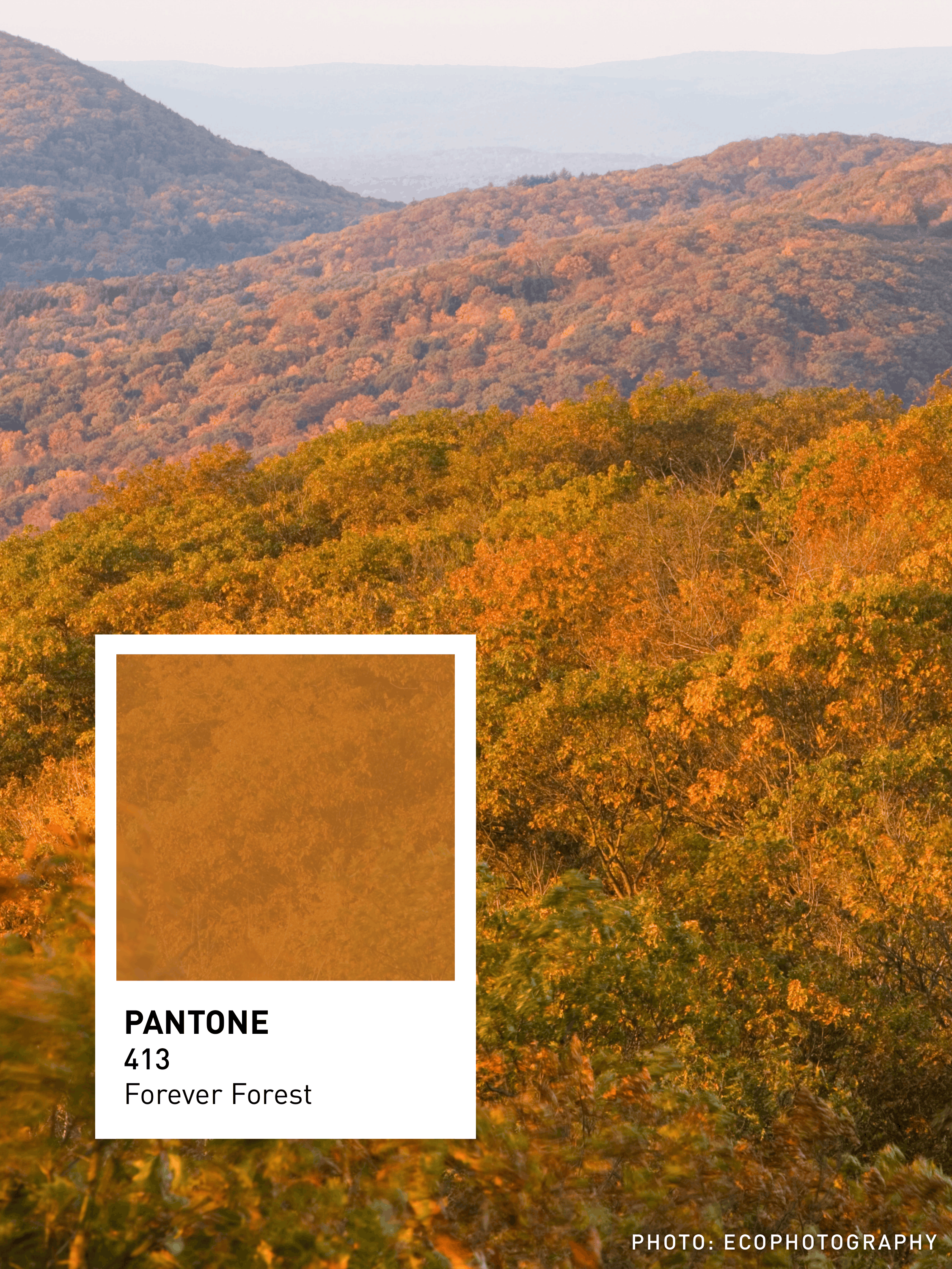 Colors of New England (1)-04.png