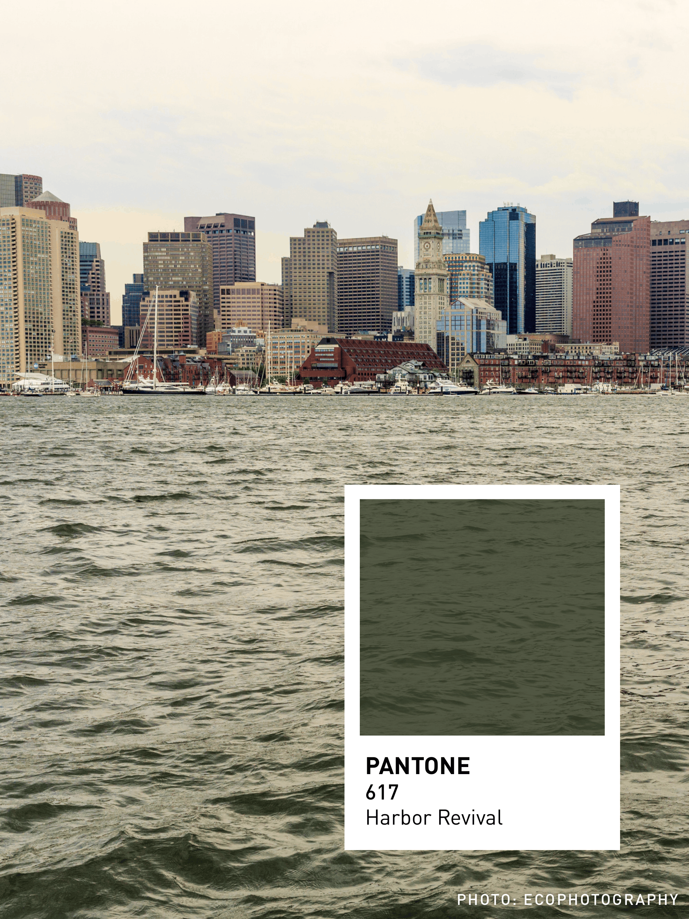 Colors of New England (1)-06.png