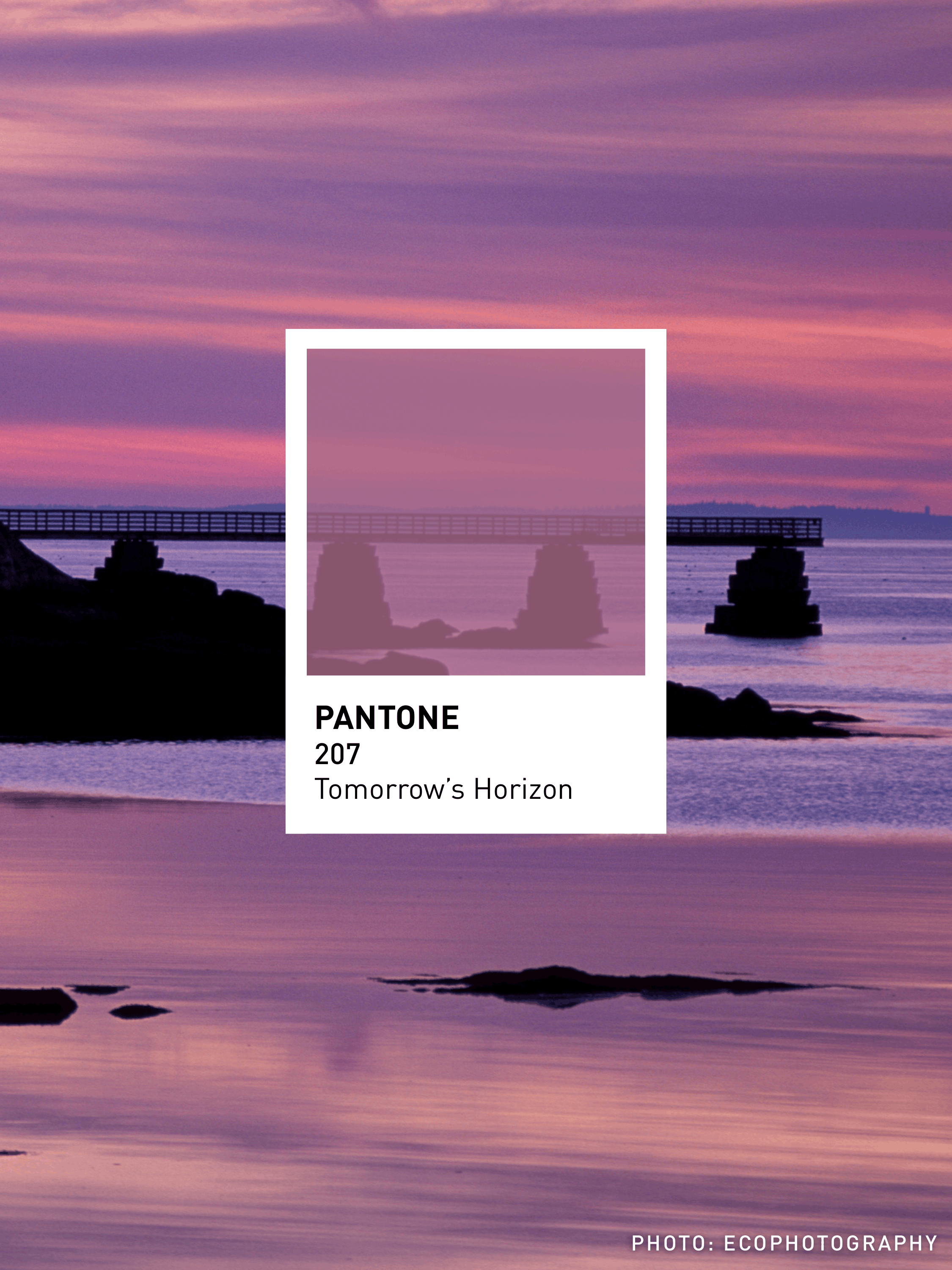 Colors of New England (1)-10.png