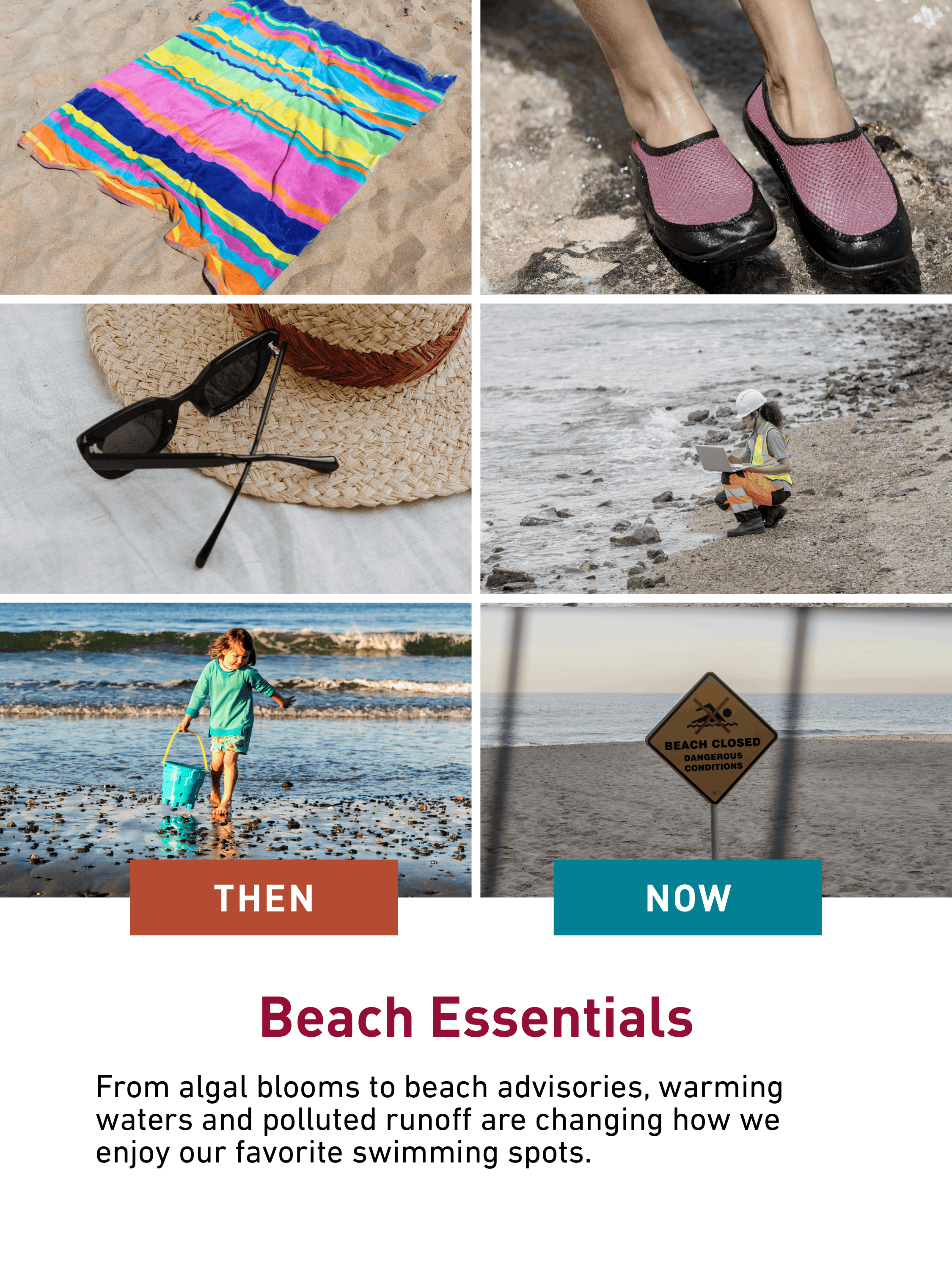 Summer Starter Pack (1)-7.png