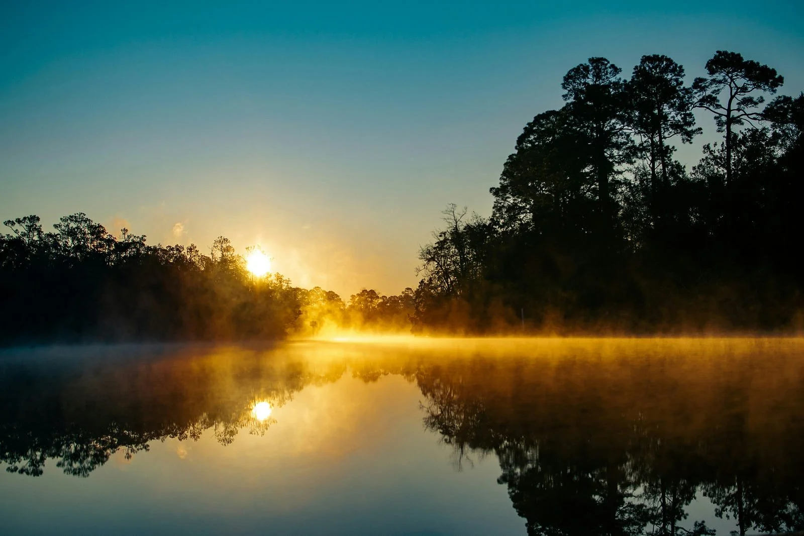 Compassion Begins Where Self -Judgement Ends 