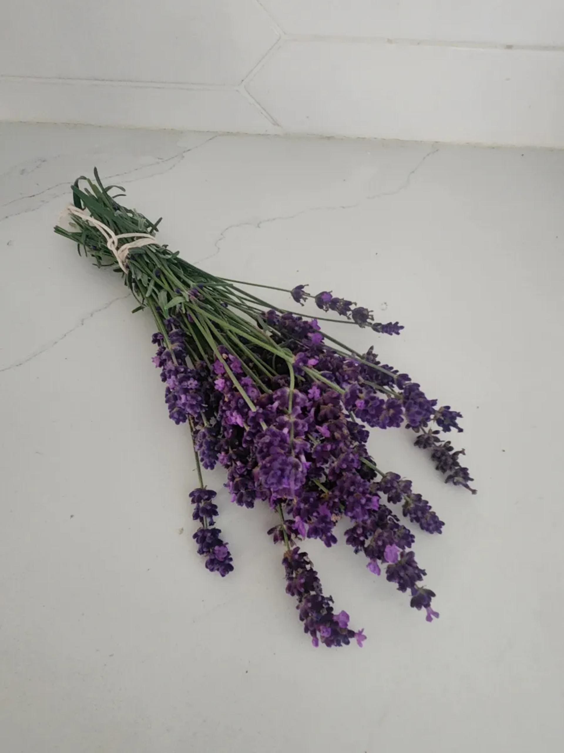 Lavender bunch.png