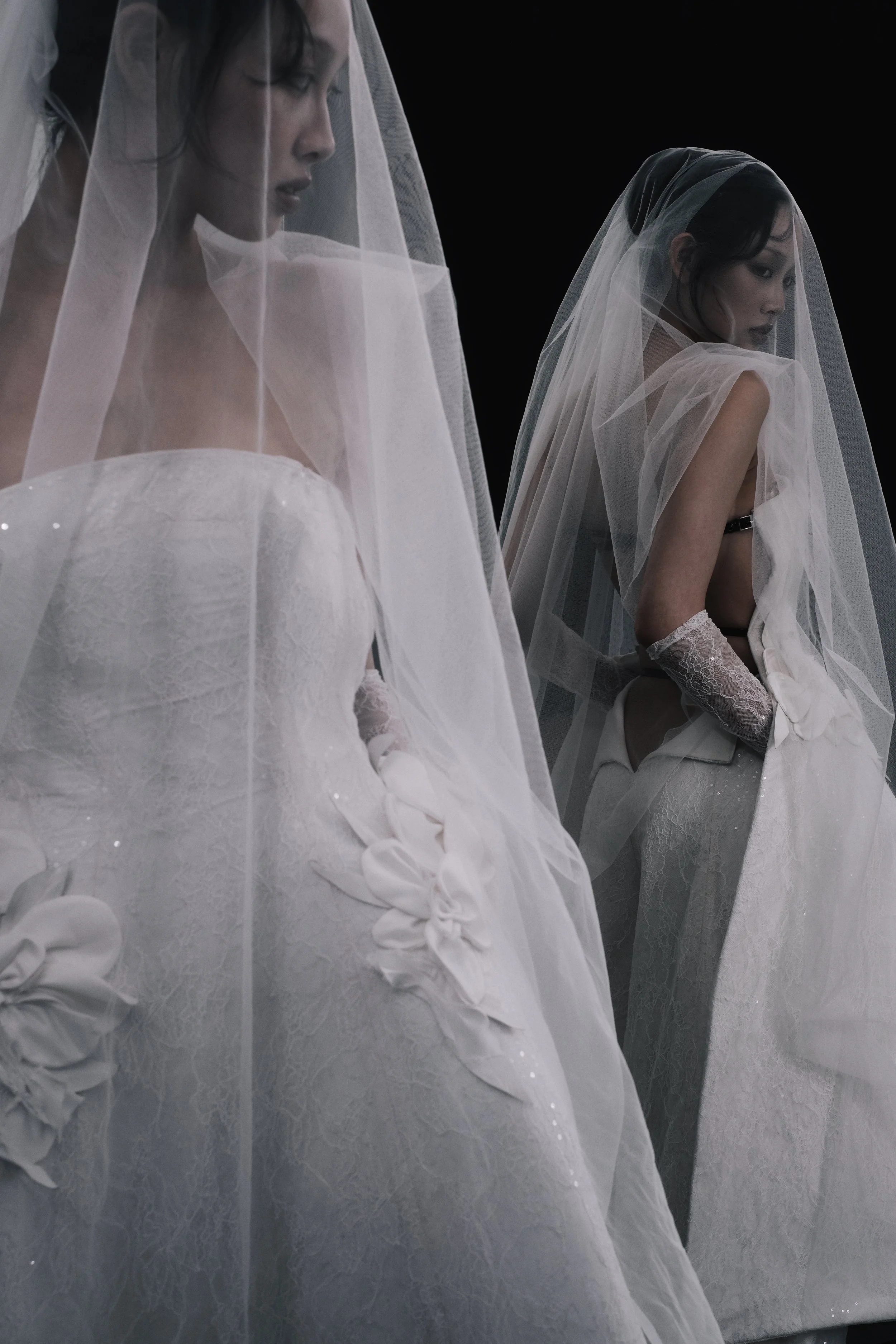 250606 bonjour Louis-16.jpeg