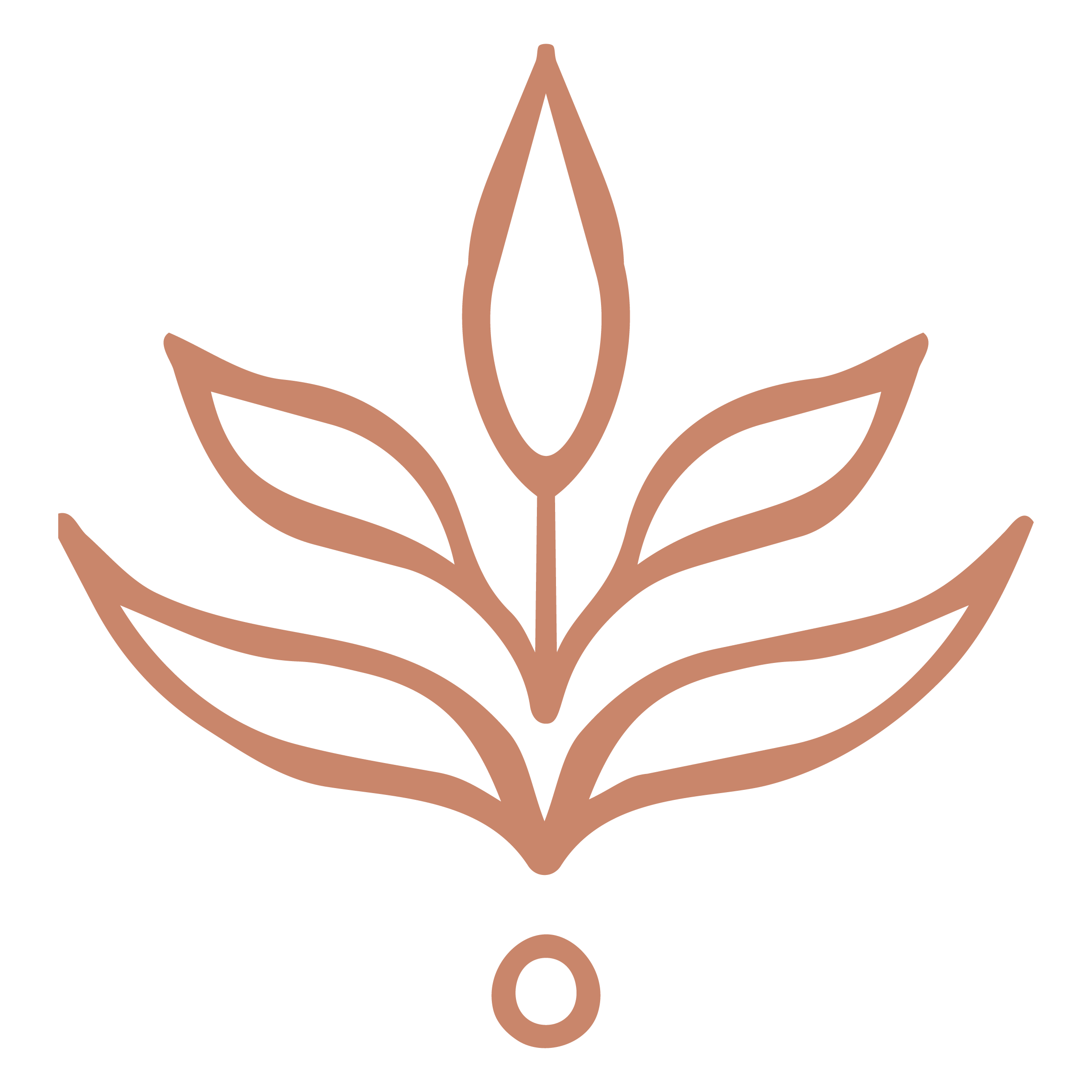 Wilo Therapy logo of a rust colored leaf sprouting from a seed.