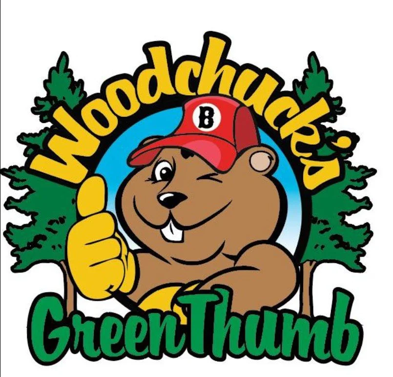 Woodchuck's Green Thumb