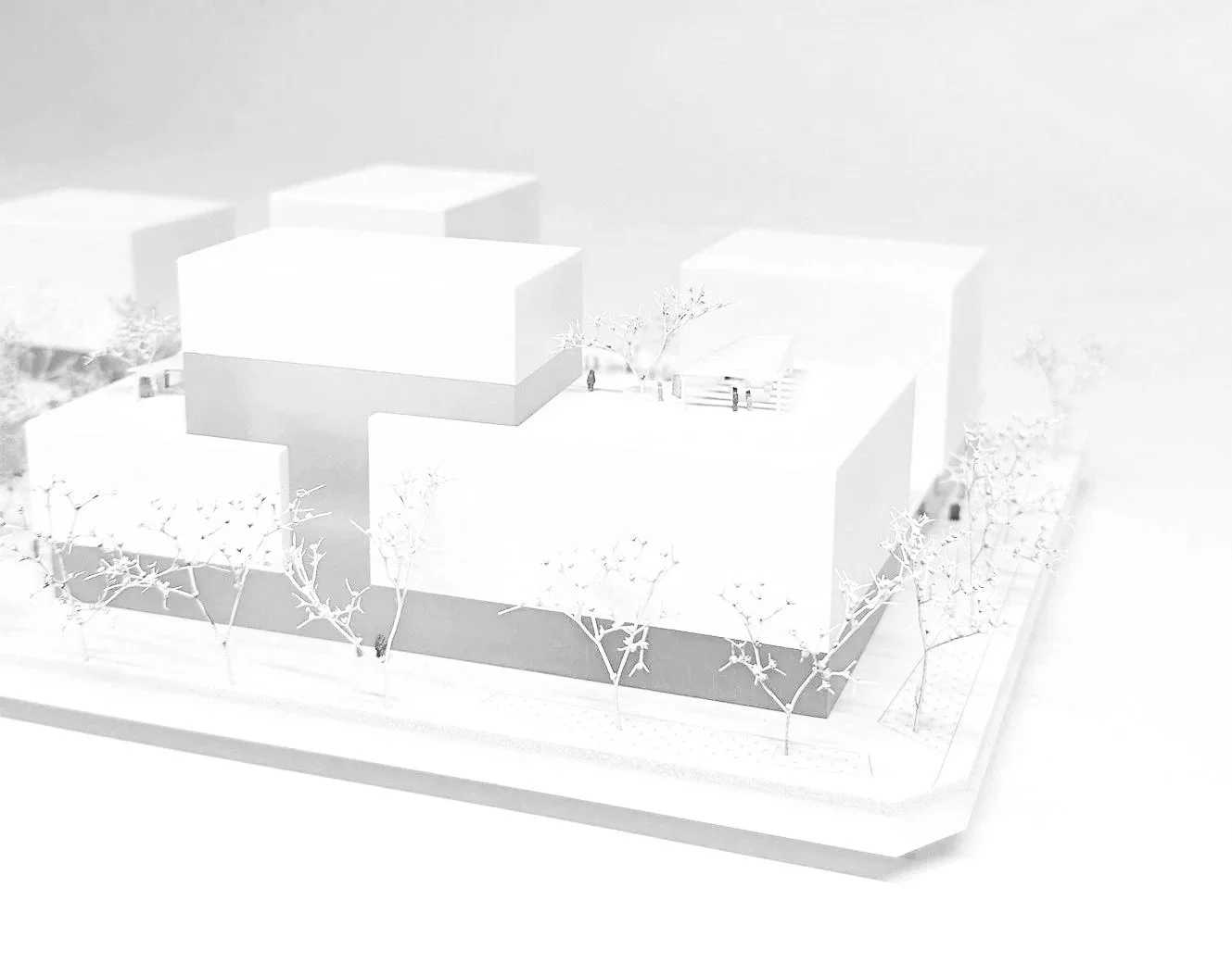 CvH-Nord