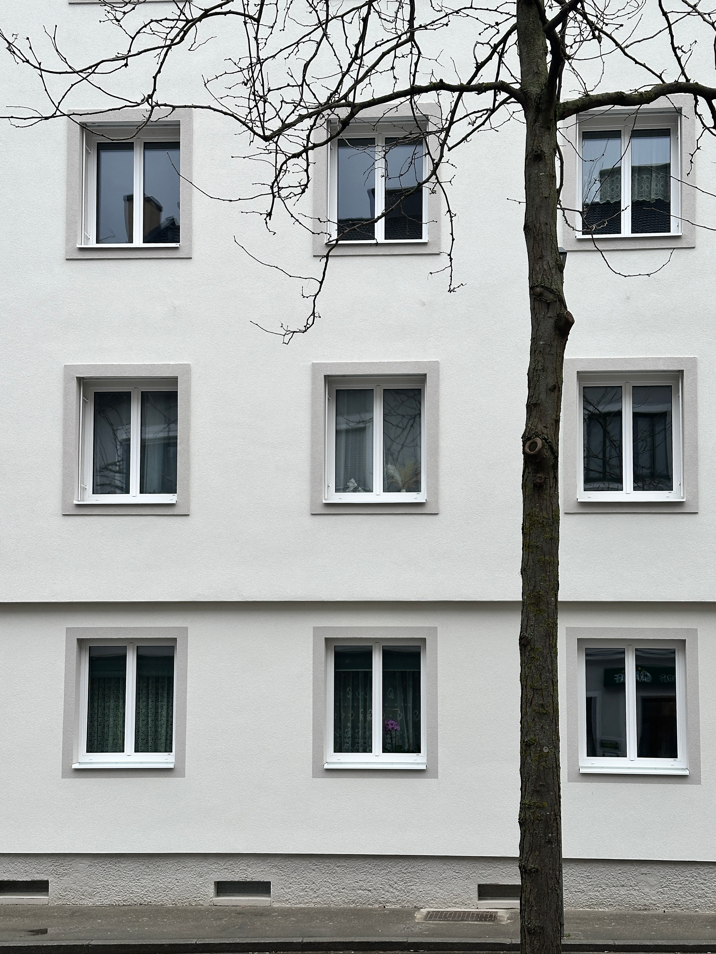 IMG_2215_bearbeitet.png