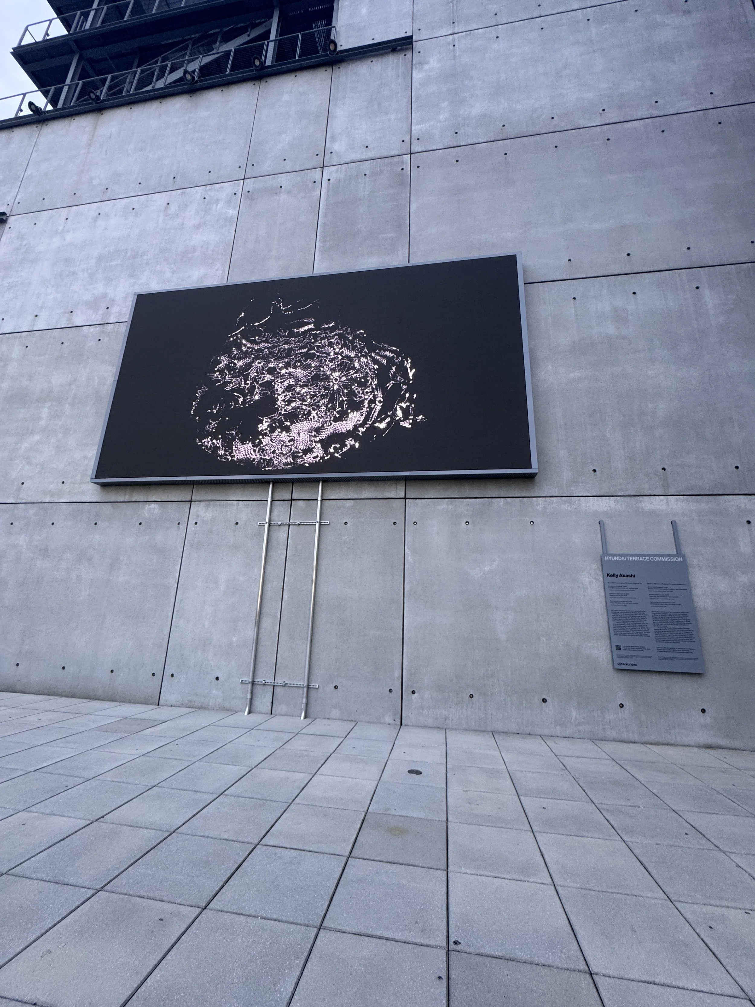 WBGallery14.JPG