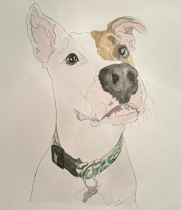 PetPortraits.jpg