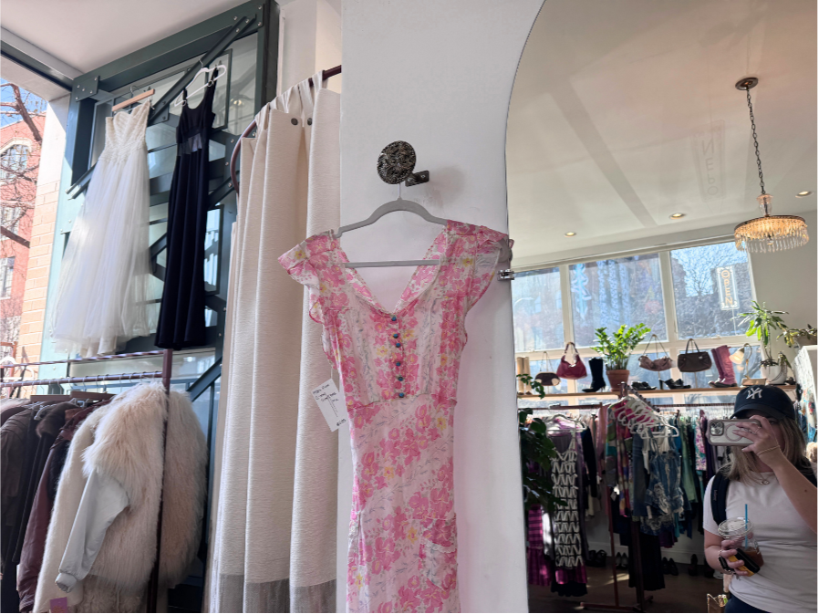 inverted+pink+dress+side+by+siide+.png