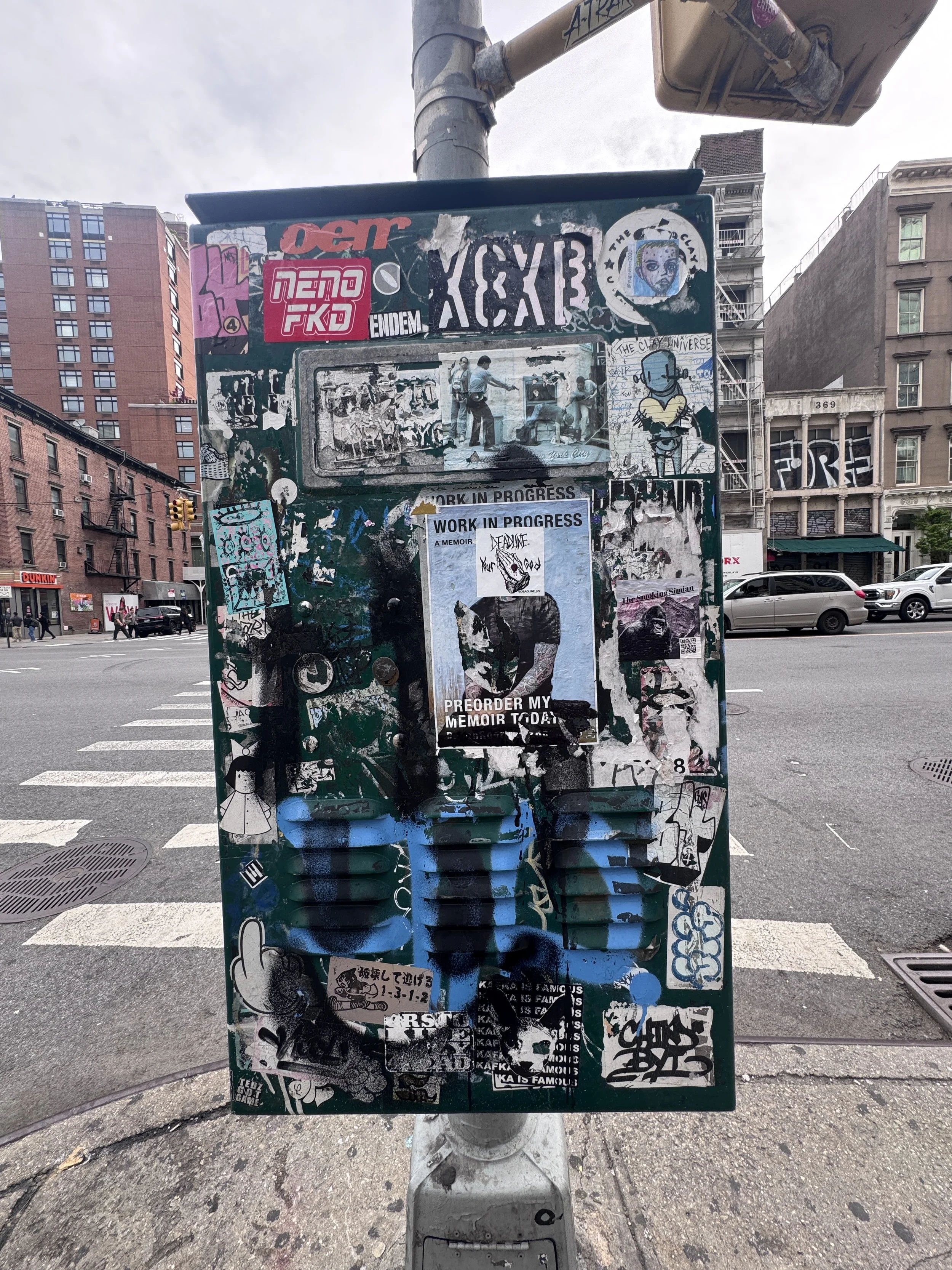 IMG_6982.jpeg