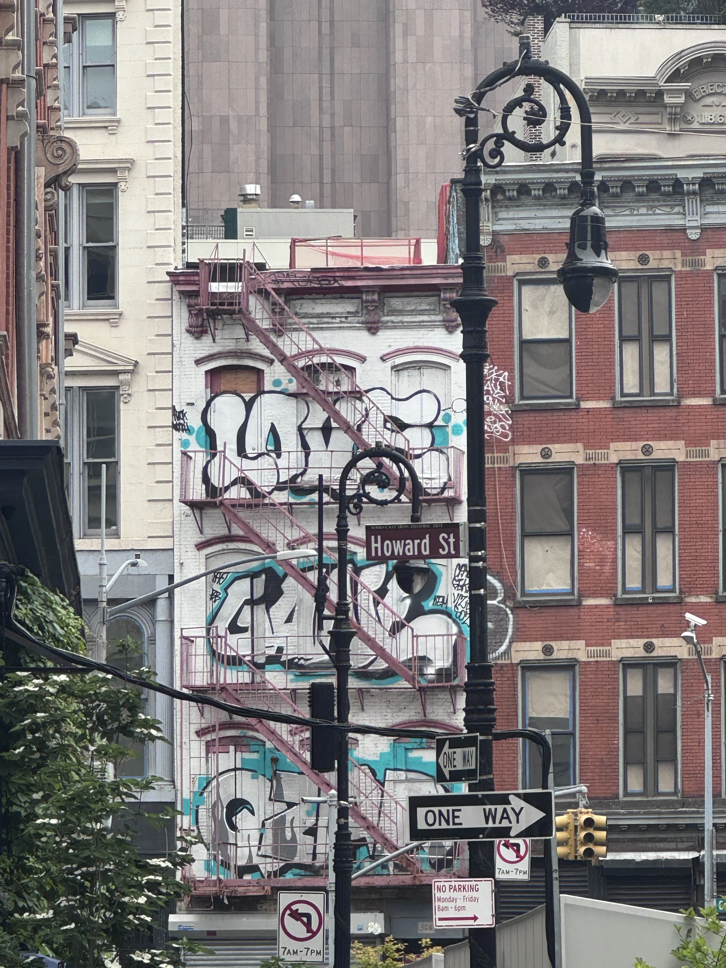 IMG_7145.jpeg