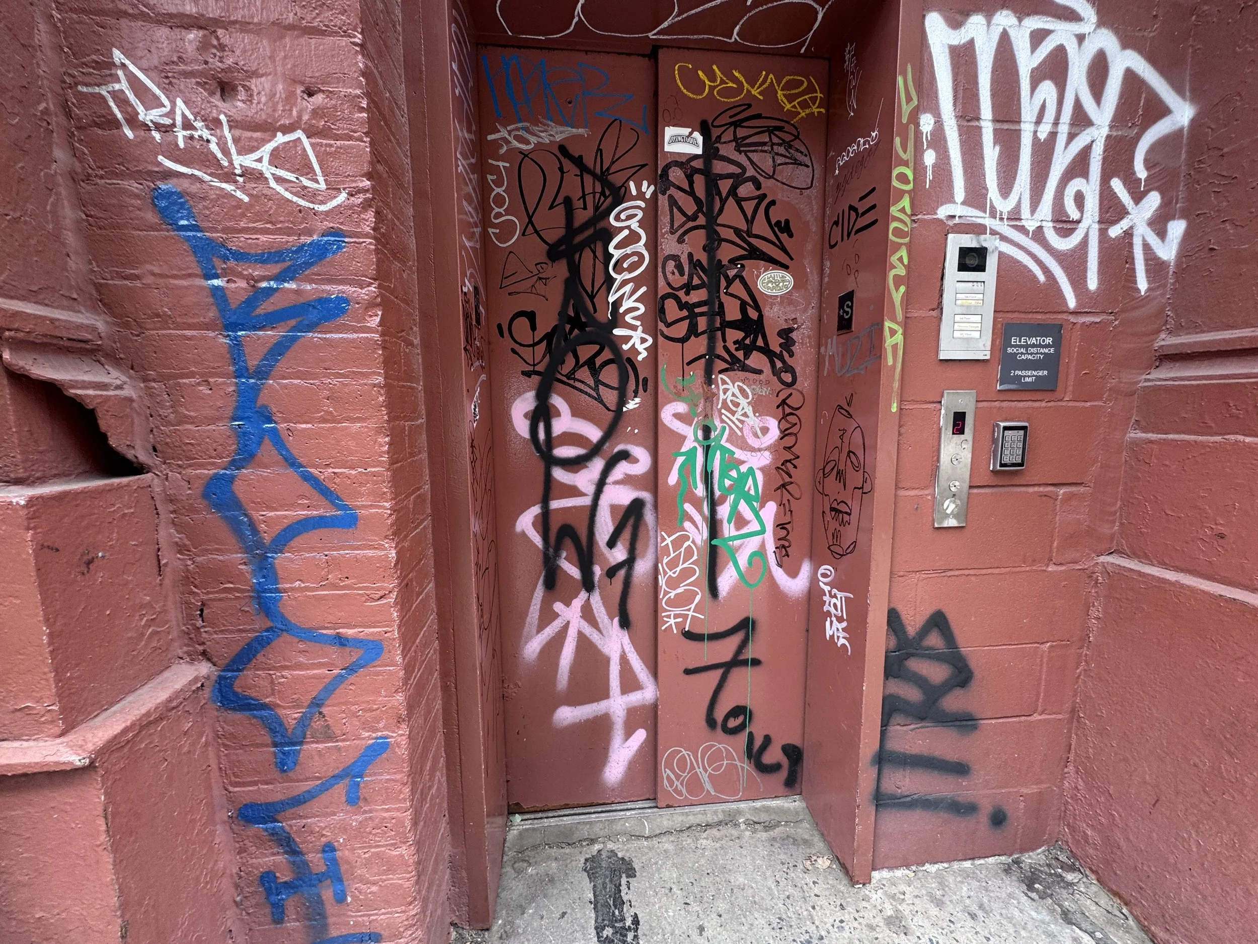 IMG_7153.jpeg