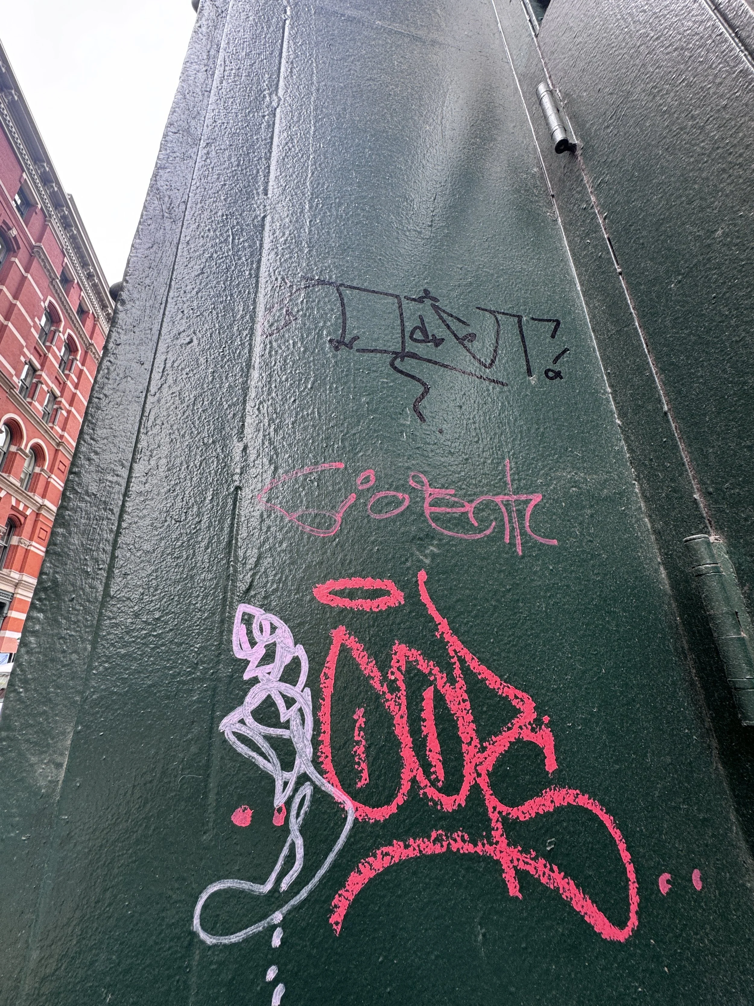 IMG_7174.jpeg