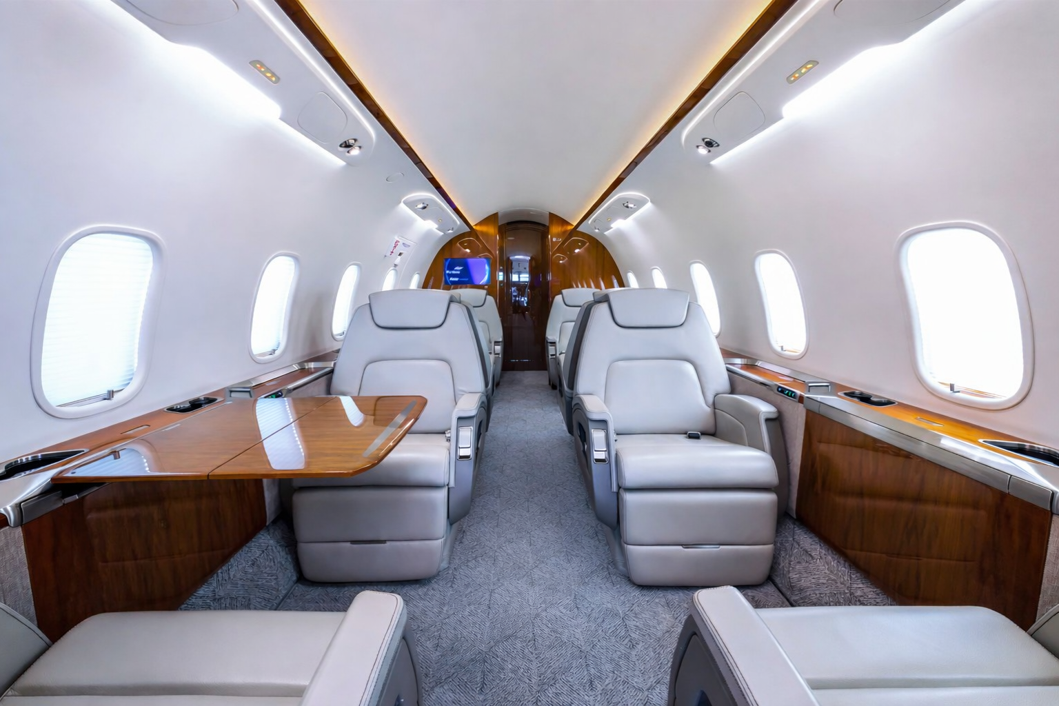 Challenger350 light carpet.png