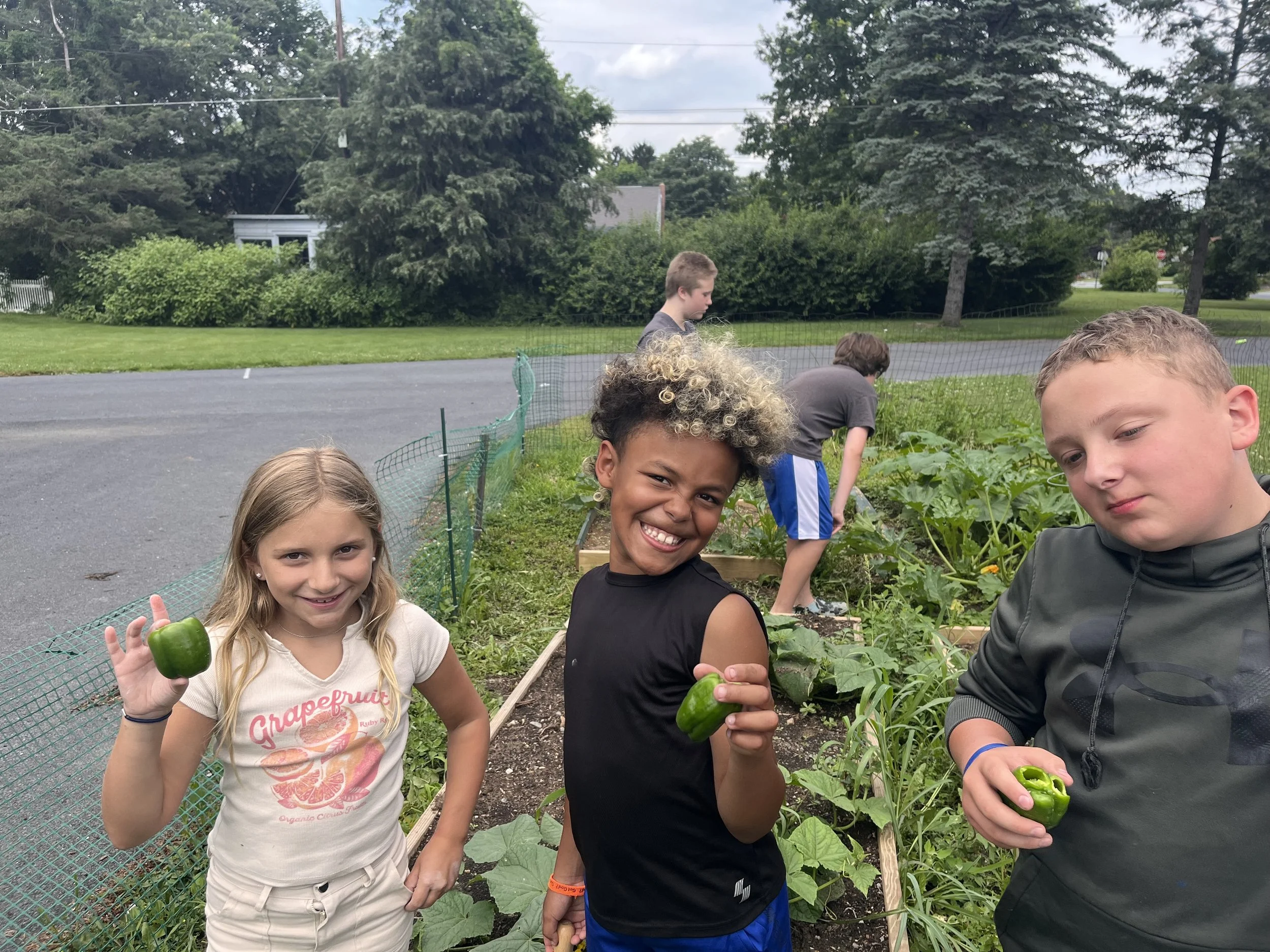 A group of children in a garden, some holding green bell peppers they have harvested. The setting is an outdoor garden with lush greenery and a mesh fence.
