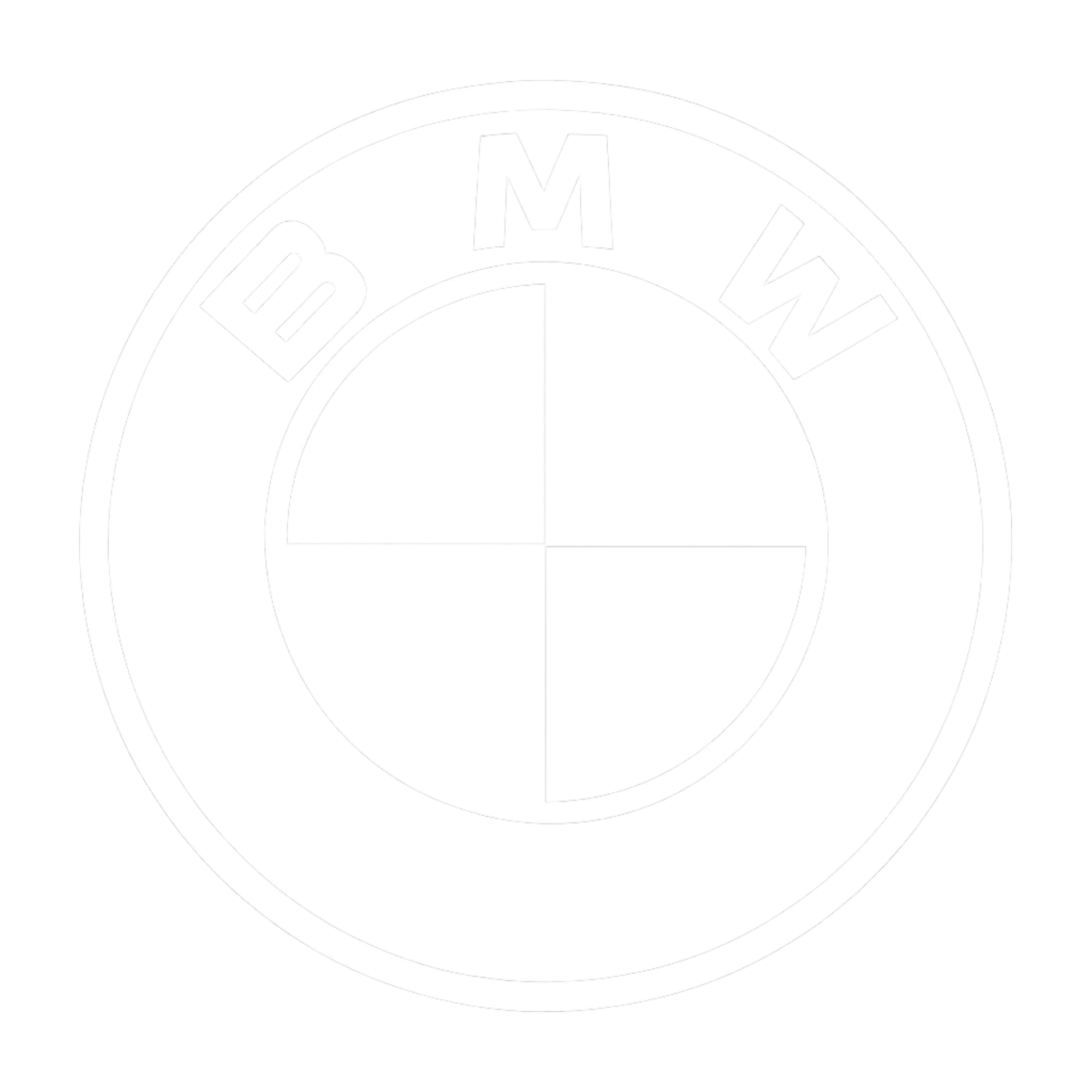 Close-up of a logo with the word 'BMW' in white letters on a circular black background, with a silver border.