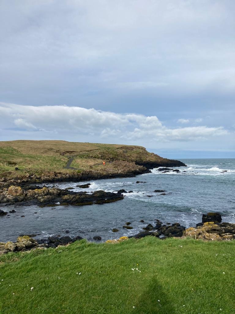 A coastal landscape with grassy foreground, rocky shoreline, and ocean waves under a cloudy sky.