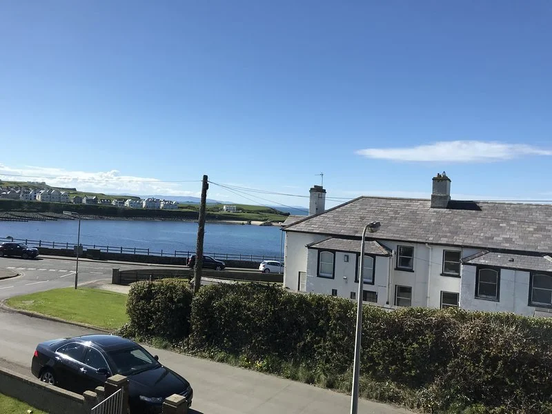 View of a small town with a body of water, houses, parked cars, a streetlamp, and a hedge on a sunny day.