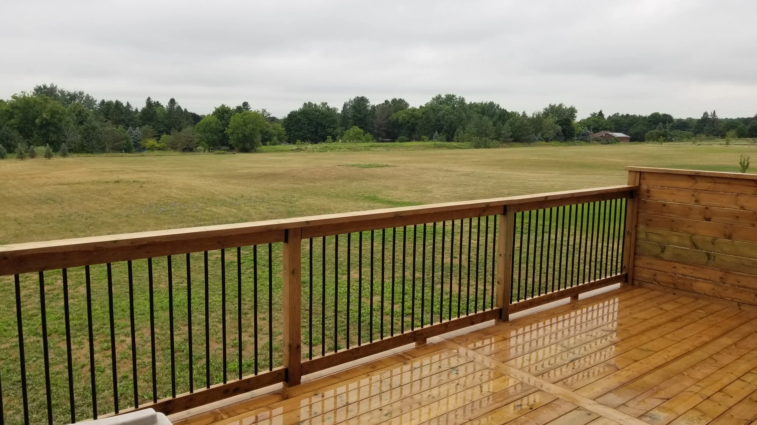 Wooden deck with black metal railing overlooking a grassy field with trees and overcast sky