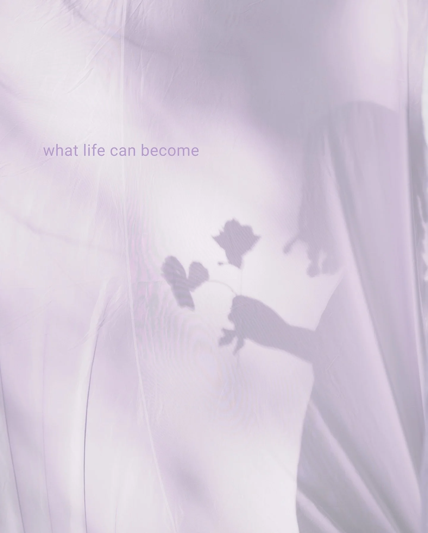 The feeling of sun on your skin. A touch that reminds you&mdash;you belong. A moment you didn&rsquo;t know you&rsquo;d live to see.

This is staying.

SheStayed shares the depth, beauty, and meaning of life continued.